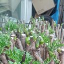 후겸농장 이미지