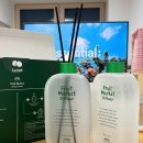 에이로마 | 과일향 디퓨저 추천｜에이로마 후르츠마켓 550ml 대용량 내돈내산 후기🍒