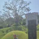 동작충효길 2코스 현충원길 | 동작 충효길 2코스 현충원길(25,6,22)