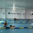 성성파인트리 수영장 이미지