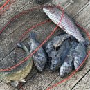 장전낚시터 이미지