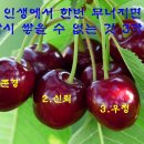 하늘의 제왕 이미지