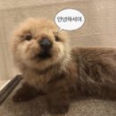 코오롱옷수선 | [내돈내산] 1년 고민 끝! 코오롱 테라노바 패딩 55% 할인 득템 내돈내산 솔직후기(사이즈 팁/배송)