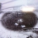 서울성모안과병원 이미지