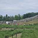 시흥동 역사문화길 | 화성행궁 산책길 🌿 정조대왕의 흔적 따라 강아지와 함께 역사 여행🐾