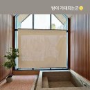 위드힐 펜션 | 반스힐리조트 ː 홍천 풀빌라 ː 강원도 여행 ː 애견 동반 펜션 후기