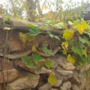 지혜한옥민박 이미지