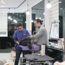 애견코리아 이미지