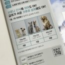 오꼬미 이미지