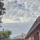 현완단겸 상추튀김 이미지