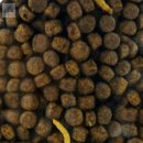 조은사료 이미지