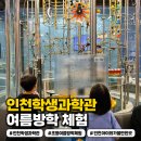 영종대로 | 인천학생과학관 초등 여름방학 체험 추천, 특별 프로그램과 전시후기