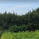 지암공인중개사사무소 이미지