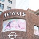 짬타이