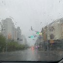 유보아손만두 이미지