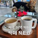 카페엔이오 | 제주 카페엔이오 감귤체험이 가능한 제주이색카페 N.E.O