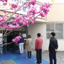 목양초교병설 이미지