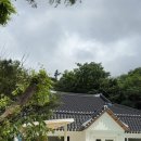 일랑일랑 스테이 이미지