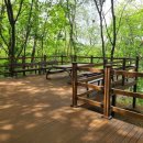 숲속공원 이미지