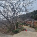 진주 월명암 목조아미타여래좌상 | [경남 진주시 월명암] 조선의 조각승 현진의 아미타여래