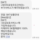 유심보호서비스 예약 후 문자내용 이미지