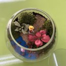 원예테라피_초록식물이 주는 마음의 위로 | 이끼 테라리움 어린이단체수업 힐링프로그램 원예테라피 고양시 파주시 미니정원