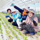 김종현 농장 이미지