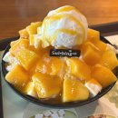 리본산부인과의원 | 임신 13~16주_입덧이 끝나가는 시기, 임부속옷준비, 임밍아웃