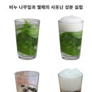6차 산업을 위한노력,비누나무와 붉나무 재배,천연세제 체험학습장 이미지