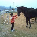 쌍둥이 펜션 Daum카페