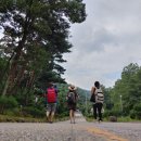 호텔 나무(Hotel Namoo) 이미지