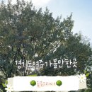 숲을 그리다 이미지