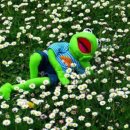 더블유커피 - 서구 원당대로 669 | 더블유커피