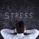 파리스짐 이미지