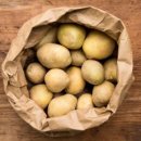 달님식품 국내산 햇 감자 potato, 1개, 감자 5kg (소) 이미지