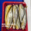 싱싱한 160미 생물 파 조기 판매합니다^^ 이미지