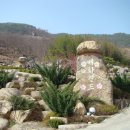 매화랜드 이미지