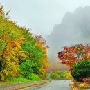 &#34;내 차가 곧 전망대&#34;... 920m 높이에서 늦가을 만끽, 강원도 드라이브 명소 이미지