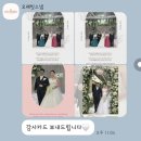 본식 스냅 후기 작가님의 따듯한 시선 오래빗스냅