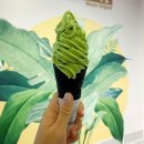 아이스크림 이미지