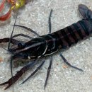 대등축산 이미지