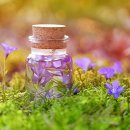 개간지천 이미지