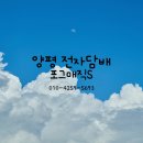 포그매직S