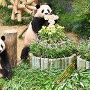 광주광역시 우치동물원 동물병원 이미지