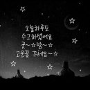 오월에 Daum카페
