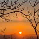 제주통큰장어 이미지