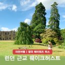 런던근교 식물원 웨이크허스트 영국 정원 가는방법 추천 후기