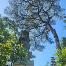 엠앤에스 진입로 좌우 약 20m | 운주사 (云住寺) Temple