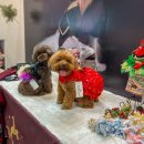 웰케어메디 이미지