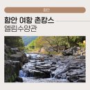 함안 여항 촌캉스 전원주택 엘림수양관, 완벽한 단체 힐링을 선물해 준방문 후기!